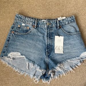 Distressed Shorts